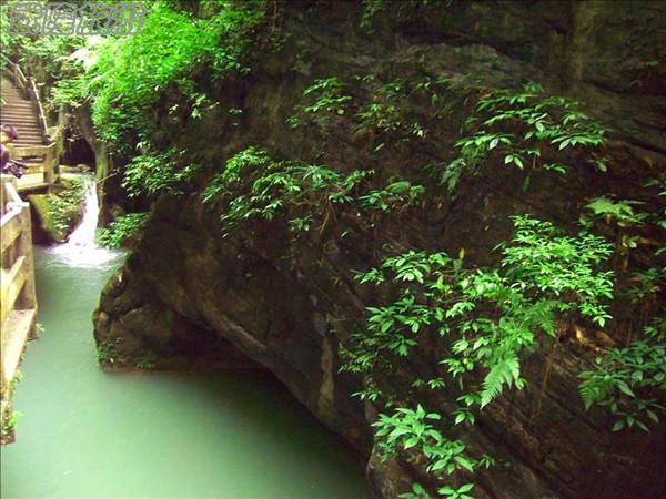 龍水峽地縫景點之“玉龜出山”