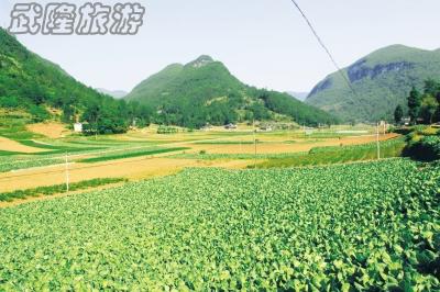 木根村負氧離子生態旅游自駕線路攻略