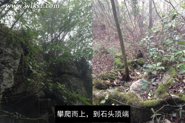 烏木、化石隨地撿，重慶無人峽谷大冒險（完整版）——【女漢紙武隆秘境探險記】第十四節(jié)