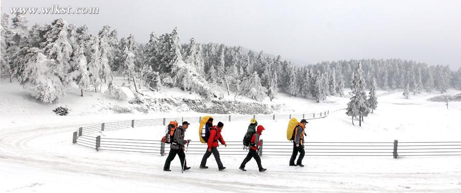 2015冬天仙女山旅游攻略(玩雪、門票、精彩看點等)