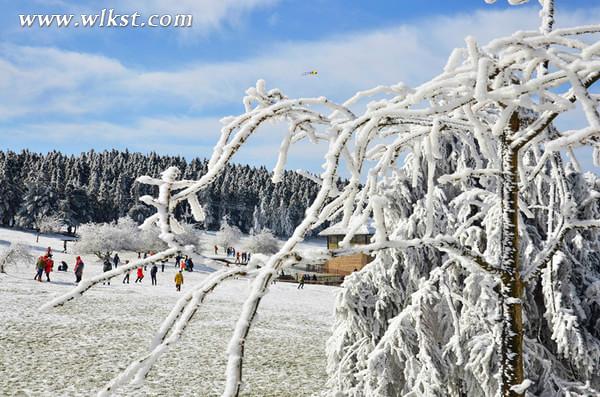 2015冬天仙女山旅游攻略(玩雪、門票、精彩看點等)