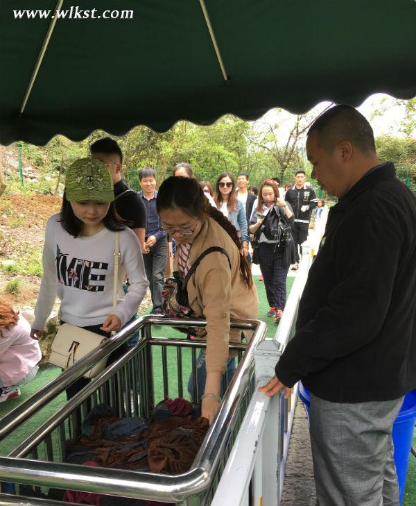 尖叫不停歇 武隆天生三橋懸崖玻璃眺臺(tái)成刺激體驗(yàn)寵兒