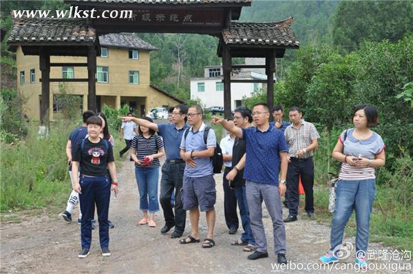 九三學社重慶市委一行來武調研鄉村旅游