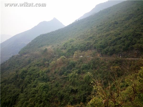 在景區(qū)公路上寫(xiě)生的游客