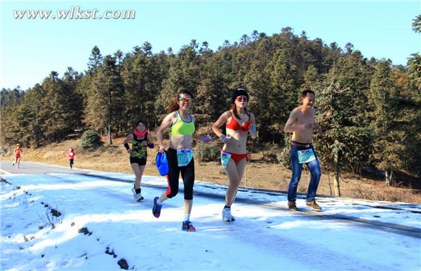 往屆仙女山雪地光豬跑活動
