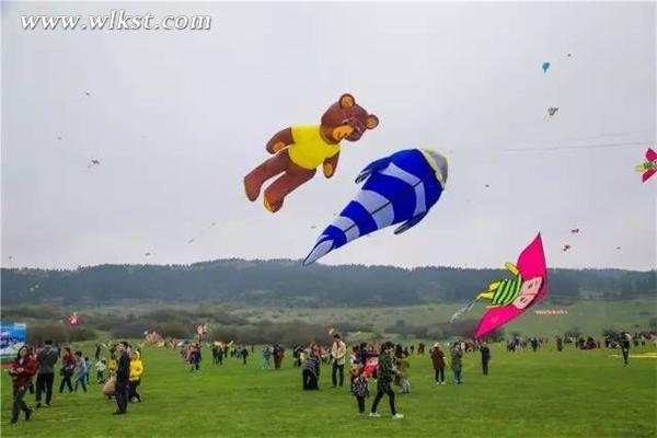 2017武隆仙女山國(guó)際風(fēng)箏季