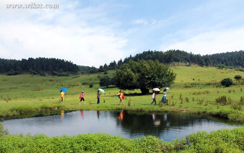　玩轉武隆仙女山 這份獨家旅游攻略很重要
