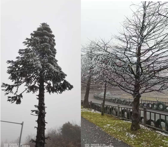 仙女山實(shí)時(shí)霧凇奇觀