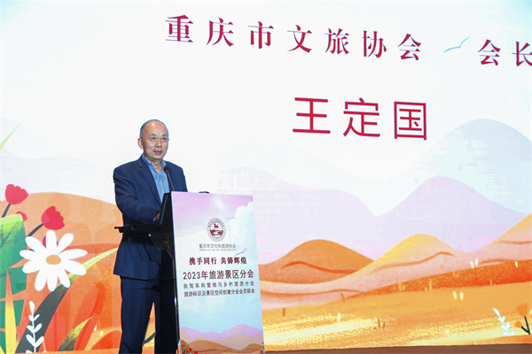 重慶市文化和旅游協會會長王定國講話